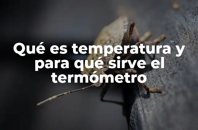 Qué es Temperatura y para Qué Sirve el Termómetro