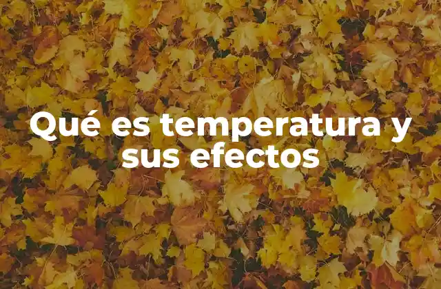 Qué es Temperatura y Sus Efectos