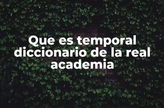 Que es Temporal Diccionario de la Real Academia