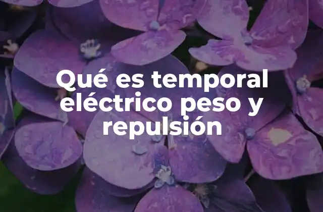 Qué es Temporal Eléctrico Peso y Repulsión