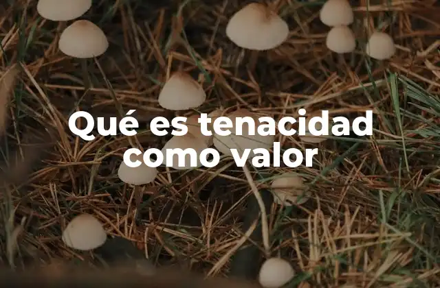 La importancia de la tenacidad en el desarrollo personal