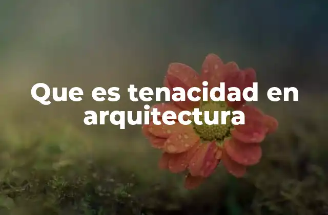 Que es Tenacidad en Arquitectura