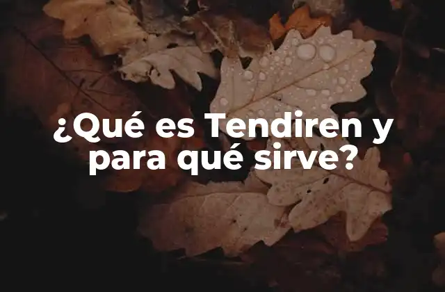 ¿qué es Tendiren y para Qué Sirve?