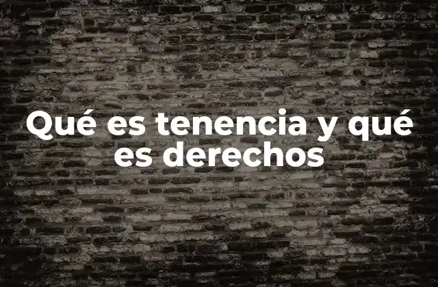 Qué es Tenencia y Qué es Derechos