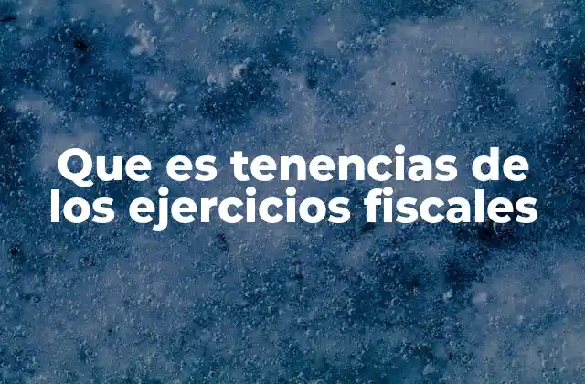 Que es Tenencias de los Ejercicios Fiscales 2 La importancia de las tenencias en la administración pública