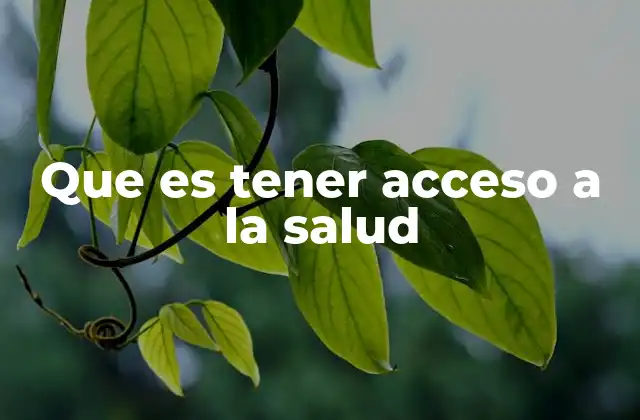 Que es Tener Acceso a la Salud