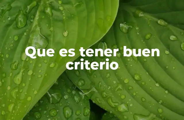 Que es Tener Buen Criterio