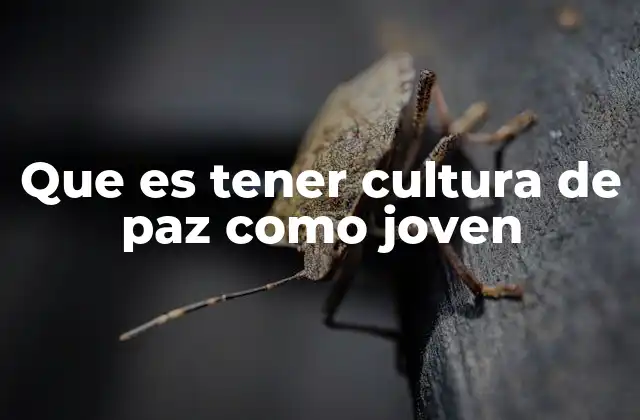 Que es Tener Cultura de Paz como Joven