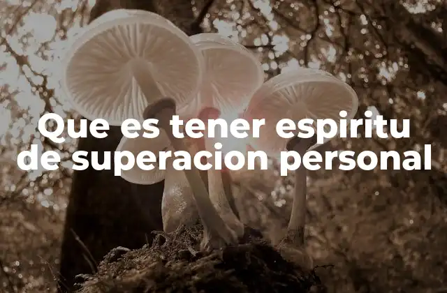 Que es Tener Espiritu de Superacion Personal 2 Cómo se manifiesta el espíritu de superación en la vida cotidiana