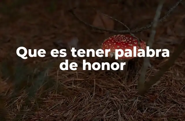 Que es Tener Palabra de Honor