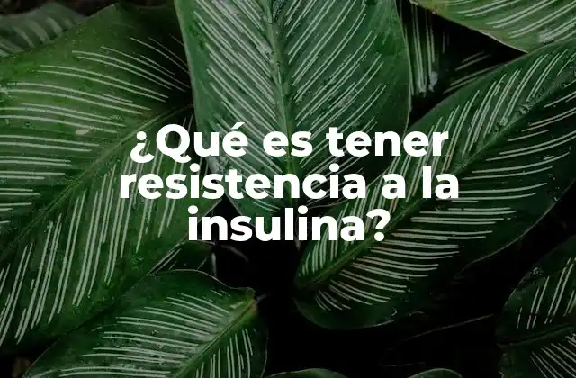 ¿Qué es la insulina y cómo funciona?