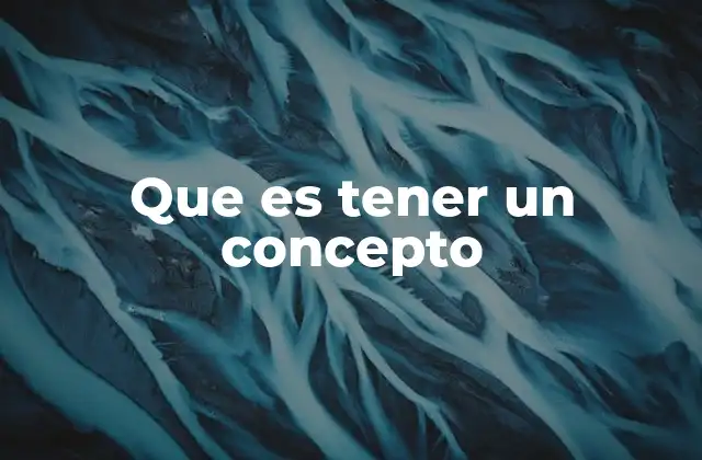 Que es Tener un Concepto