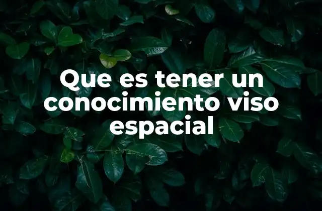 Que es Tener un Conocimiento Viso Espacial