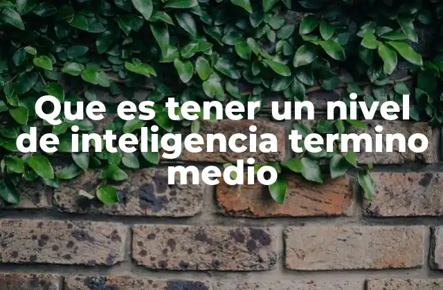 Que es Tener un Nivel de Inteligencia Termino Medio