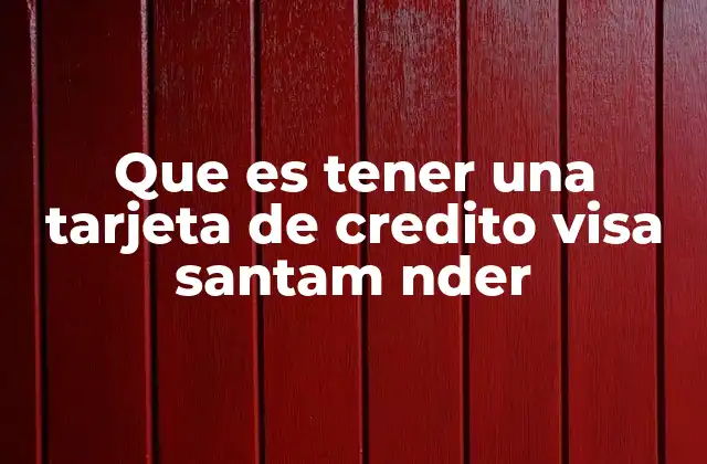 Que es Tener una Tarjeta de Credito Visa Santam Nder