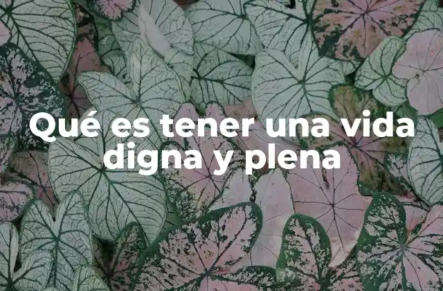 Qué es Tener una Vida Digna y Plena