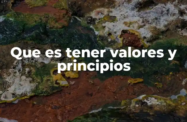 Que es Tener Valores y Principios