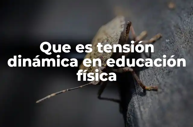 Que es Tensión Dinámica en Educación Física