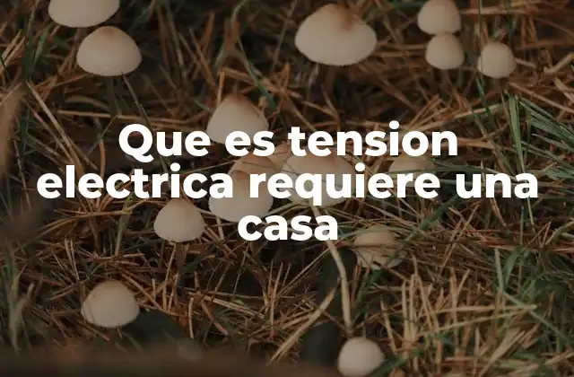 Que es Tension Electrica Requiere una Casa