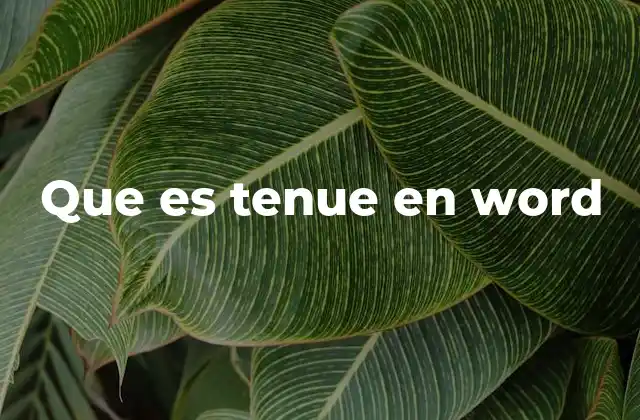 Que es Tenue en Word