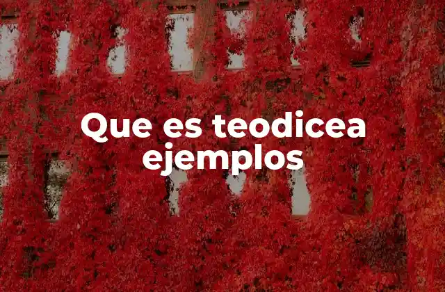 Que es Teodicea Ejemplos