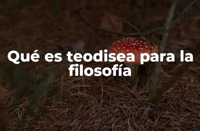 Qué es Teodisea para la Filosofía