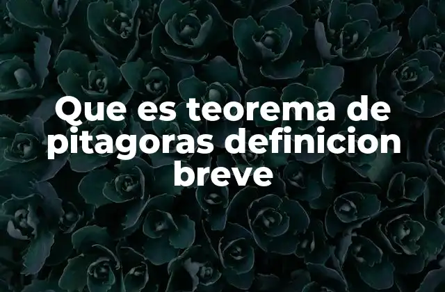 Que es Teorema de Pitagoras Definicion Breve 2 La importancia del teorema en la geometría euclidiana