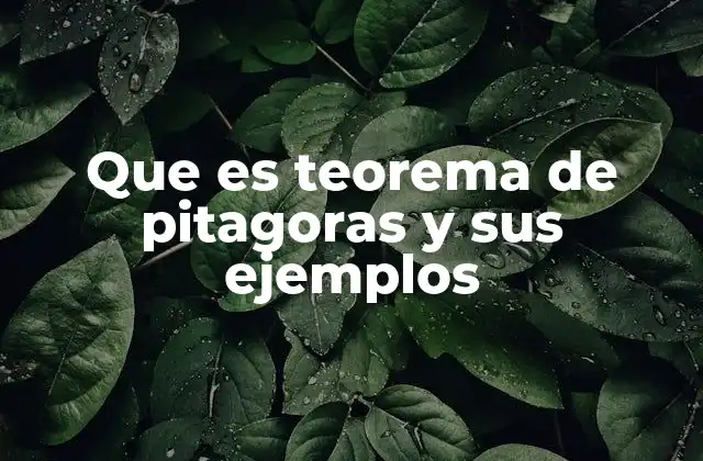 Que es Teorema de Pitagoras y Sus Ejemplos
