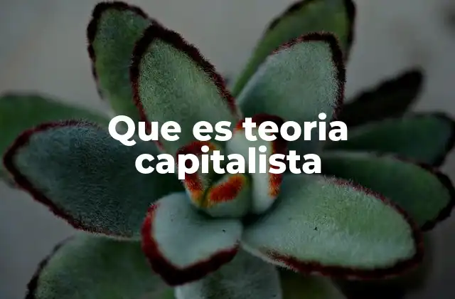 Que es Teoria Capitalista 2 Orígenes y evolución de la teoría del capitalismo