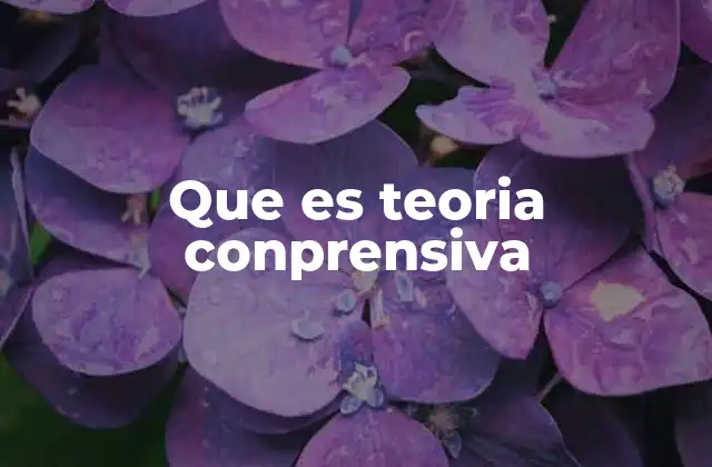 Que es Teoria Conprensiva 2 El enfoque integral en la teoría comprensiva