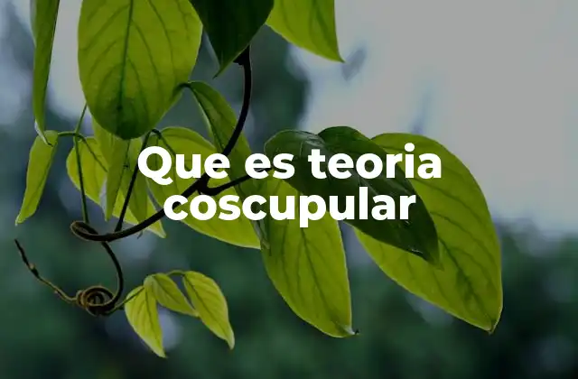 Que es Teoria Coscupular