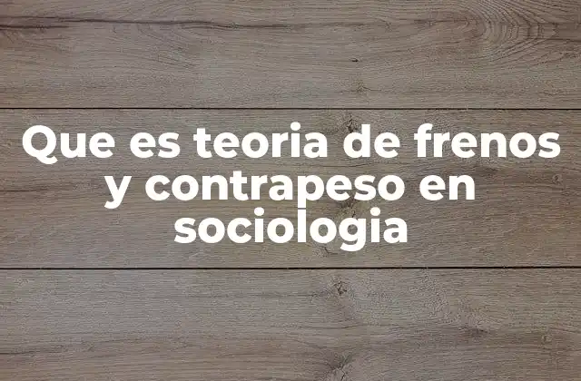Que es Teoria de Frenos y Contrapeso en Sociologia