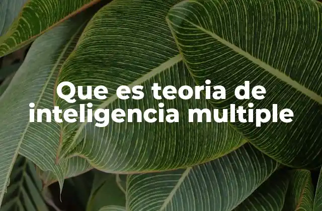 Que es Teoria de Inteligencia Multiple