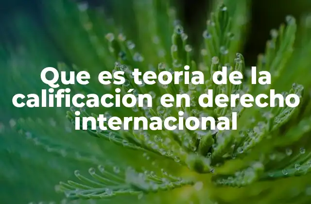 Que es Teoria de la Calificación en Derecho Internacional