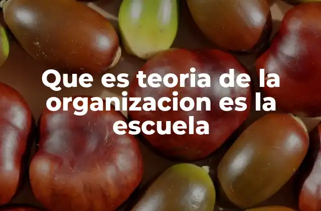 Que es Teoria de la Organizacion es la Escuela