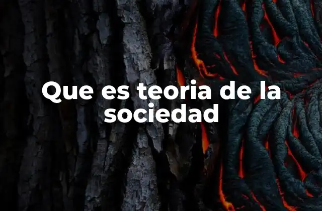 Que es Teoria de la Sociedad