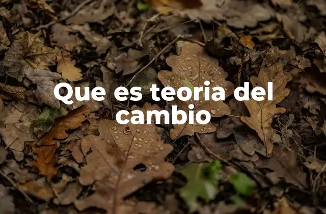 Que es Teoria Del Cambio