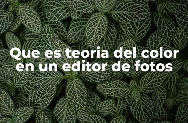 Que es Teoria Del Color en un Editor de Fotos