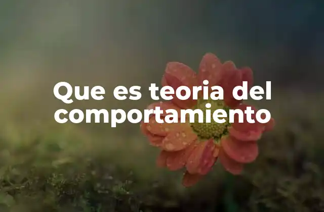 Que es Teoria Del Comportamiento