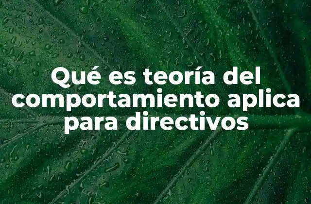 Qué es Teoría Del Comportamiento Aplica para Directivos