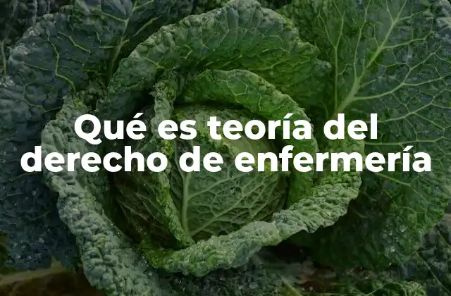 Qué es Teoría Del Derecho de Enfermería