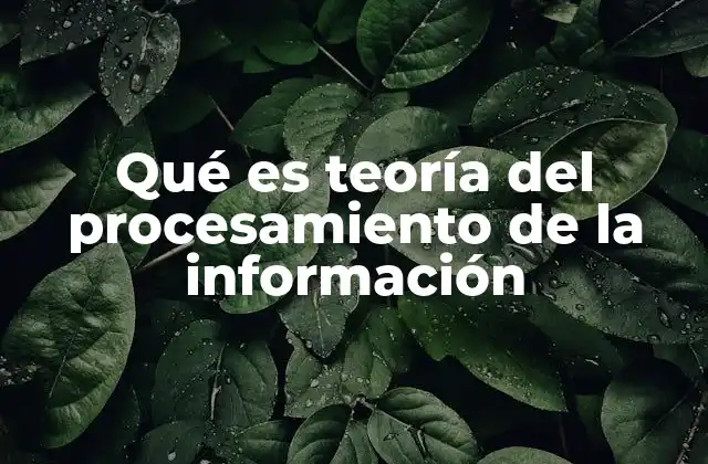 Qué es Teoría Del Procesamiento de la Información