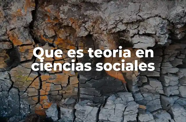 Que es Teoria en Ciencias Sociales