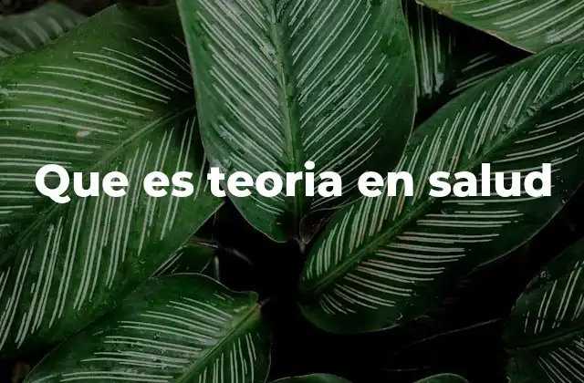 Que es Teoria en Salud