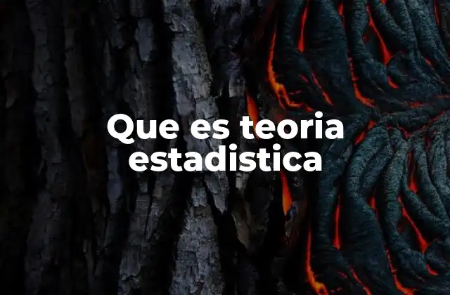 Que es Teoria Estadistica