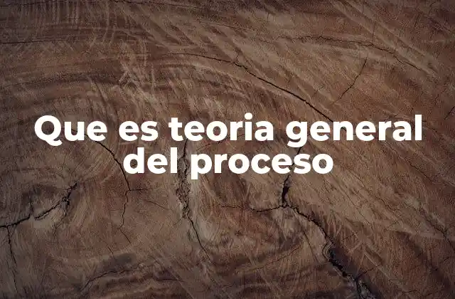Que es Teoria General Del Proceso