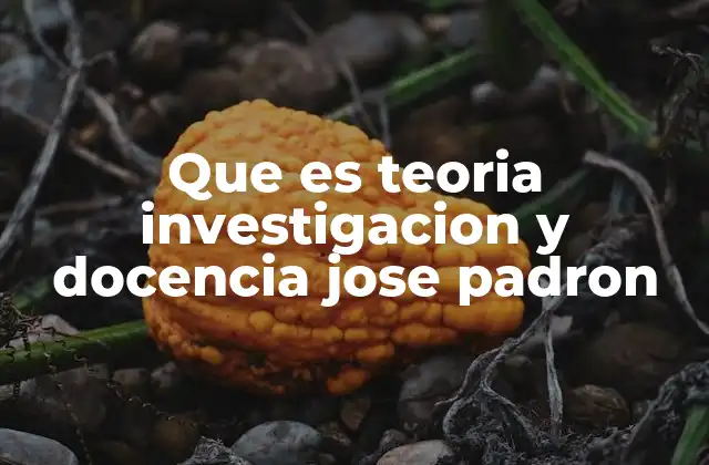 Que es Teoria Investigacion y Docencia Jose Padron