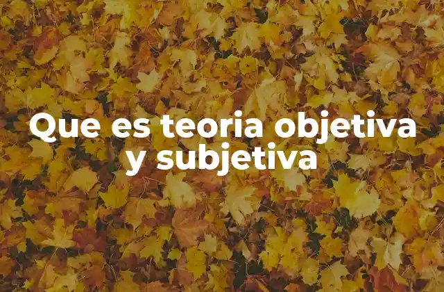 Que es Teoria Objetiva y Subjetiva