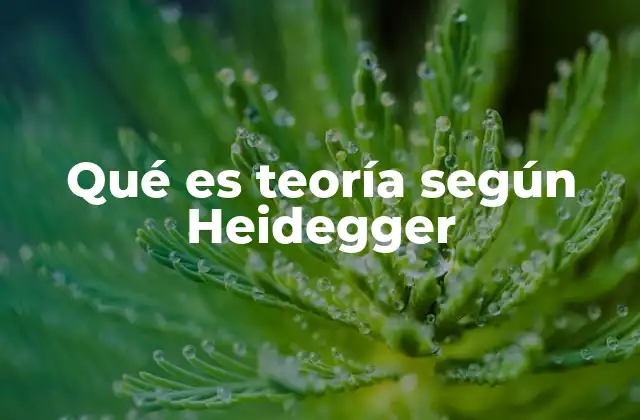 Qué es Teoría según Heidegger