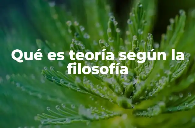 Qué es Teoría según la Filosofía